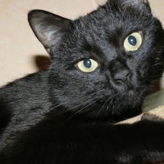 Валек Конышев, 31.05, Минск