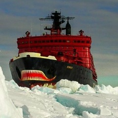 Антон Кувшинов, Stuttgart