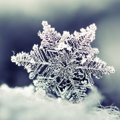 Настя Иванова, 02.08, Улан-Удэ