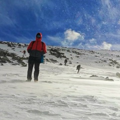 Григорий Люсов, Уфа