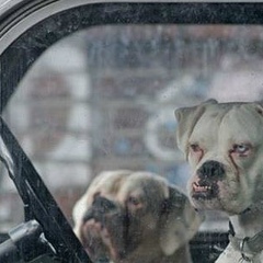 Игорь Бречко, 08.11