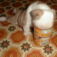 Павел Емельянов, 27.08, Москва