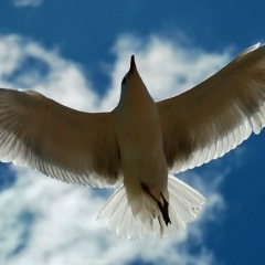 Екатерина Лазарева, 16.08.1986, Санкт-Петербург