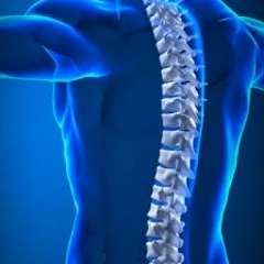 Александр Александрович, Санкт-Петербург