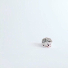 Ардак Дутпаева, 04.05.1993, Астана