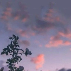 Алекс Шин, Симферополь