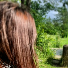 Doina Bulmaga, 01.12.1997, Bologna