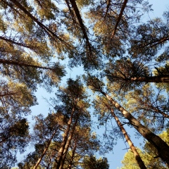 Руслан Обломий, 11.12.1983, Чернигов