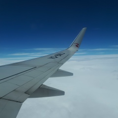 Екатерина Тихонова, 25.02, Псков