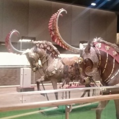 Alibek Utenov, 21.05.1991, Астана