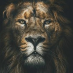 Рахим Абуев, 01.07.1991, Ростов-на-Дону