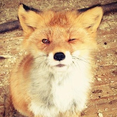 Юля Нищекотенкова, 19.11, Москва