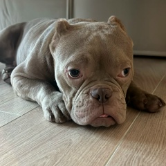 Александра Аносова, 26.03.1985, Москва