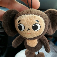 Матвей Гора, Katowice