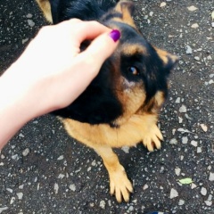 Дина Досмагамбетова, 01.01.1990, Костанай