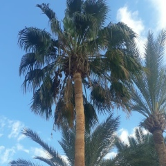 Асеке Сабирова, 08.02.1990