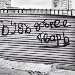 Сергей Белов, Санкт-Петербург