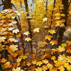 Екатерина Слисенко, 21.08, Москва