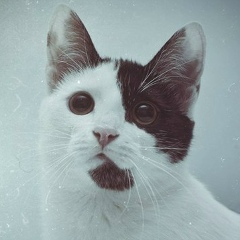 Кирилл Попов, 20.05, Смоленск