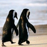 Дарья Фролова, 14.01.1988, Москва