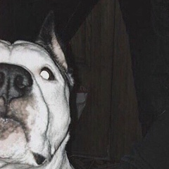 Александр Сергеевич, 04.08.1997, Москва