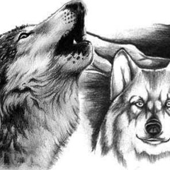 Антон Викторович, 18.10.1995, Волосово