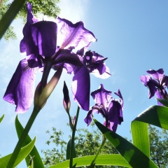 Марина Пухова, 18.04, Санкт-Петербург