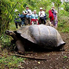 Santiago Ramos, 29.02, Quito