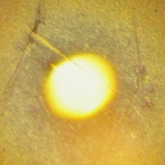 Артем Сорвилов, 29.07, Челябинск