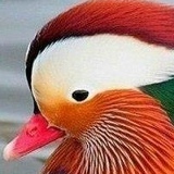 Ольга Соколова, 20.12.1989, Москва