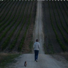 Тома Бахрах, 10.01.1987, Москва