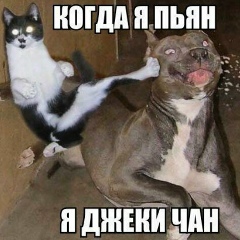 Curo Pshennica, 02.01, Темиртау