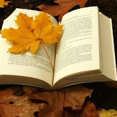 Владимир Мишуров, 31.12.1987, Ростов-на-Дону