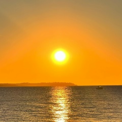 Елана Гудкова, 12.09.1984, London