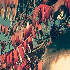 Козтиг Пономаренко, 07.09.1988, Сумы