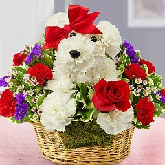 Saule Madanova, 22.03.1987, Тараз