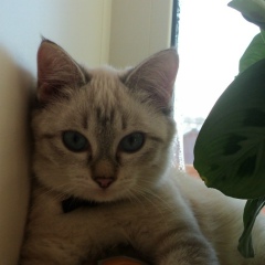 Наталья Попова, 15.08, Тюмень