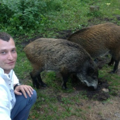 Константин Устинов, 12.05.1985, Москва