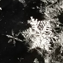 Марина Козлова, 15.05