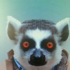 Дмитрий Федоров, 28.07.1985, Якутск