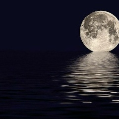 Рома Романов, 15.06, Санкт-Петербург