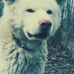 Эламан Раимбеков, 05.09, Москва