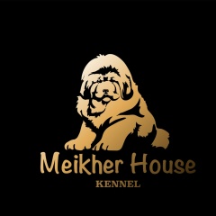 Анна Мейхер, 10.01.1990, Челябинск