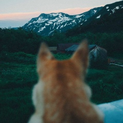 Анна Кирсанова, 13.05, Волгоград