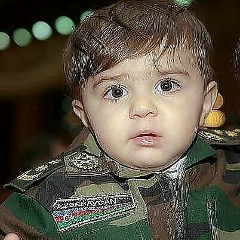 Rəşad Əlizadə, Дашкесан