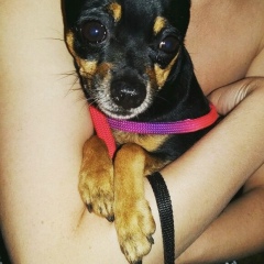 Варвара Петрова, 31.05.1983, Алматы