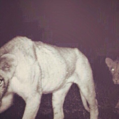 Никита Сыров, 08.09.1990, Москва