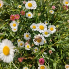 Елена Будыкина, 05.05.1983, Мурманск