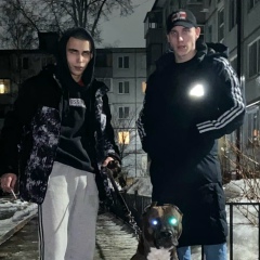 Денис Шемяков