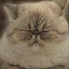 Roman Fedorovich, 18.07, Санкт-Петербург